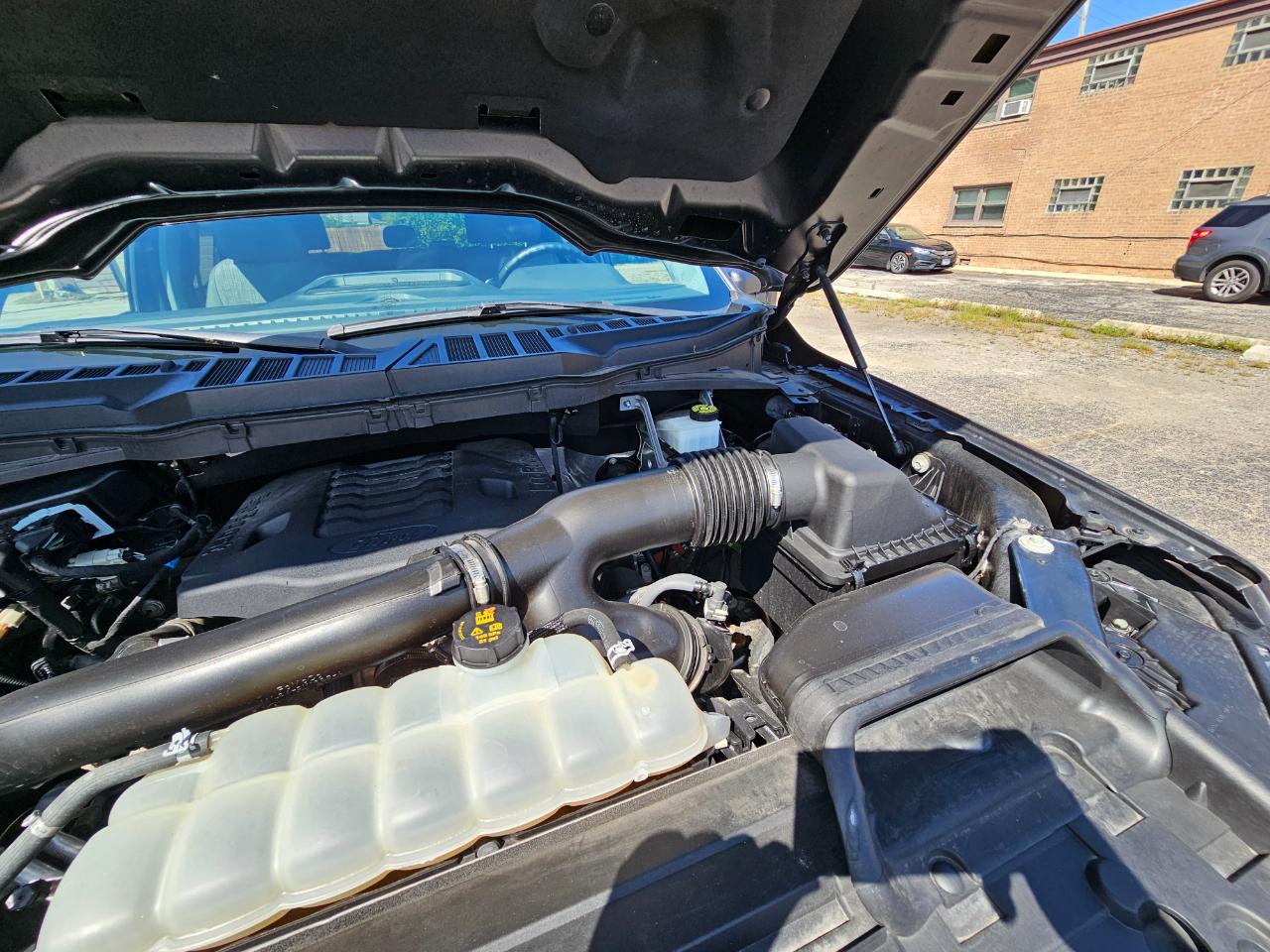 Ford F-150 XLT 4WD SuperCrew 5.5' Box 2023