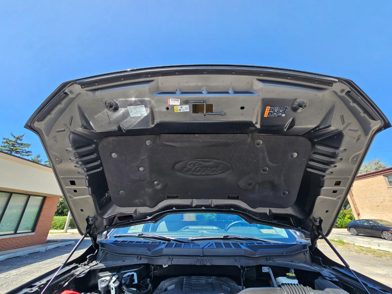 Ford F-150 XLT 4WD SuperCrew 5.5' Box 2023