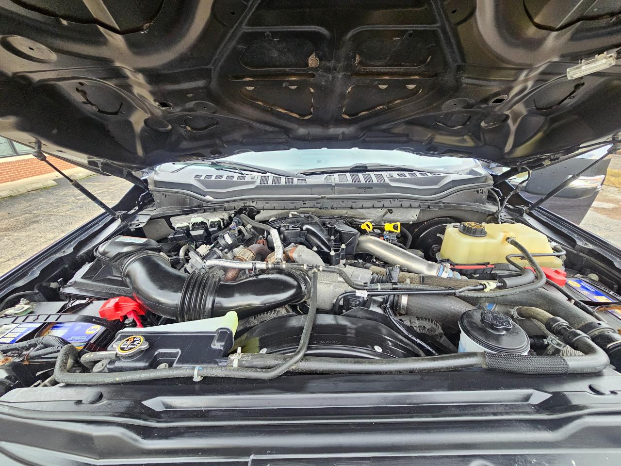 Ford Super Duty F-250 SRW XLT 4WD Crew Cab 8' Box 2019