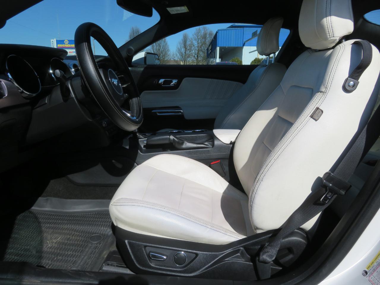 Ford Mustang EcoBoost Fastback 2017