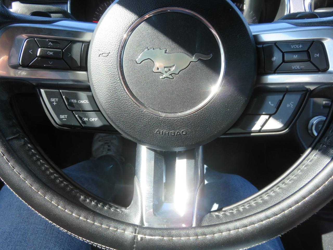 Ford Mustang EcoBoost Fastback 2017