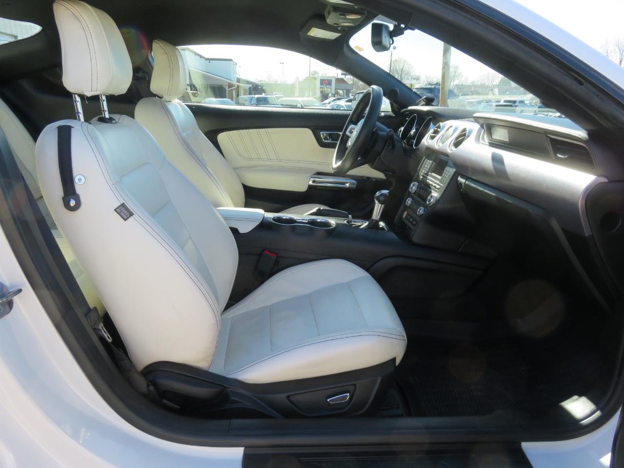 Ford Mustang EcoBoost Fastback 2017