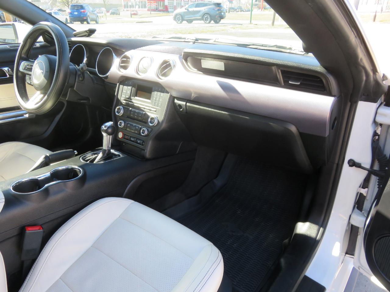 Ford Mustang EcoBoost Fastback 2017