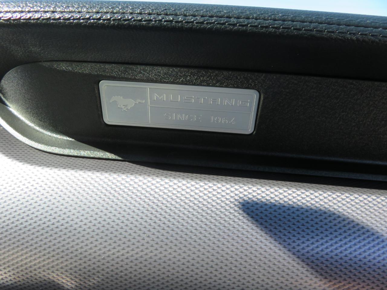 Ford Mustang EcoBoost Fastback 2017