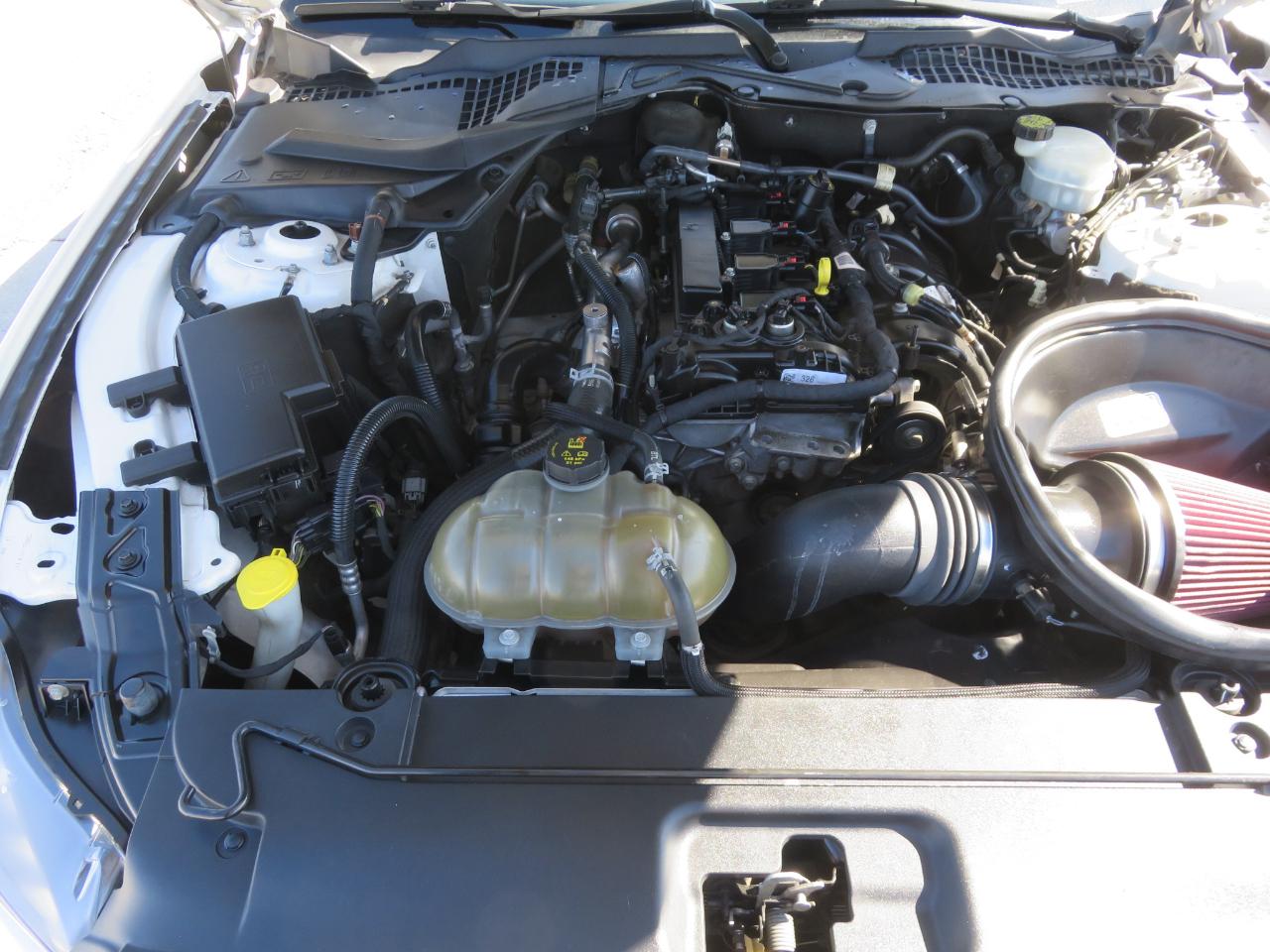 Ford Mustang EcoBoost Fastback 2017