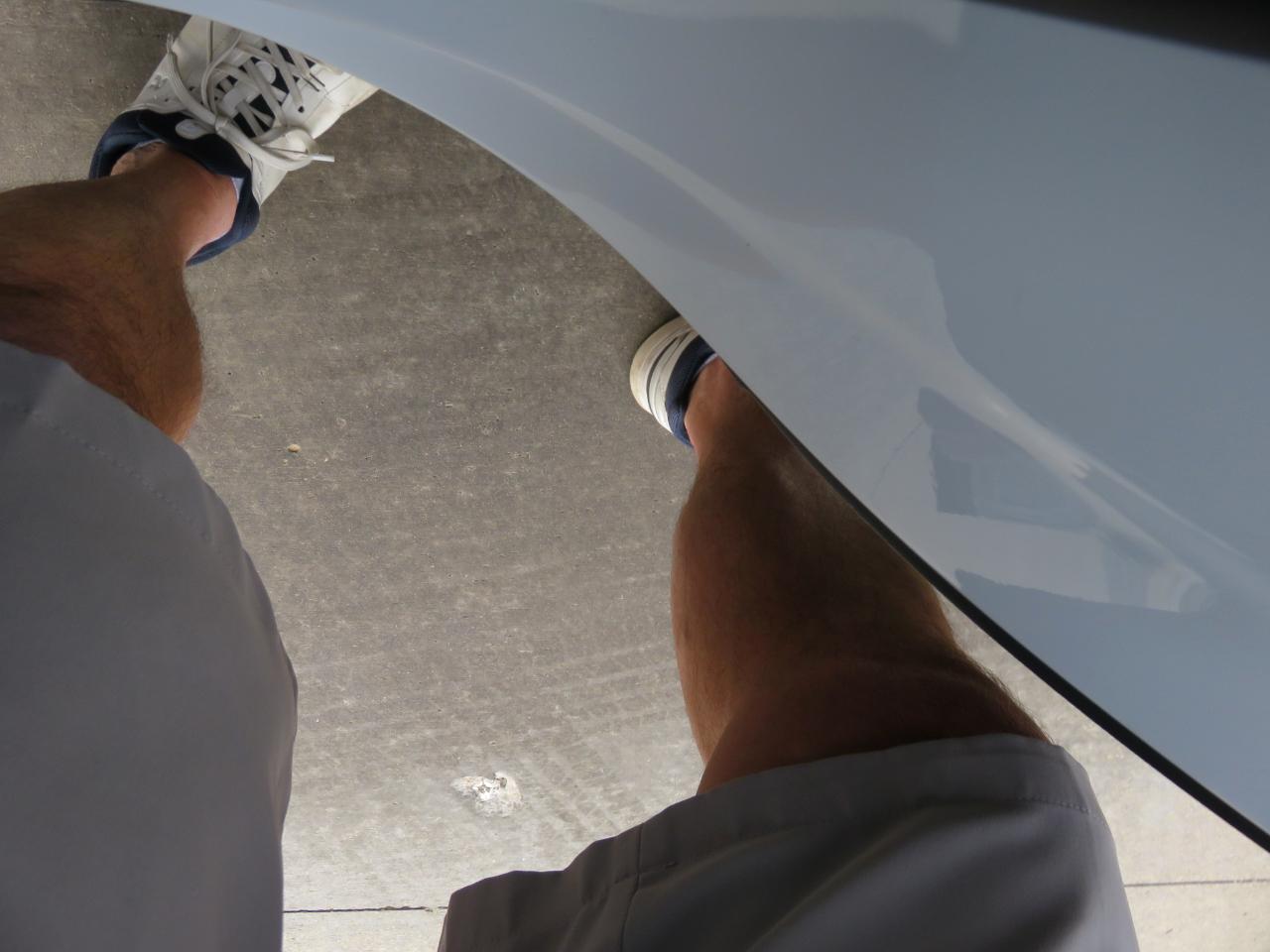 Volkswagen Tiguan 2.0T SE FWD 2022