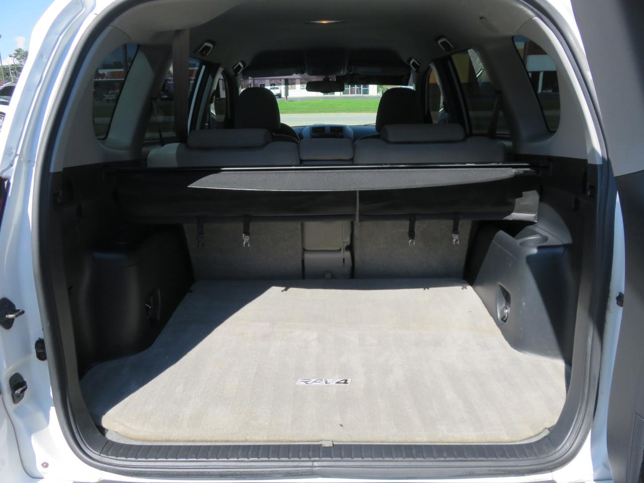 Toyota RAV4 4WD 4dr 4-cyl 4-Spd AT (Natl) 2010