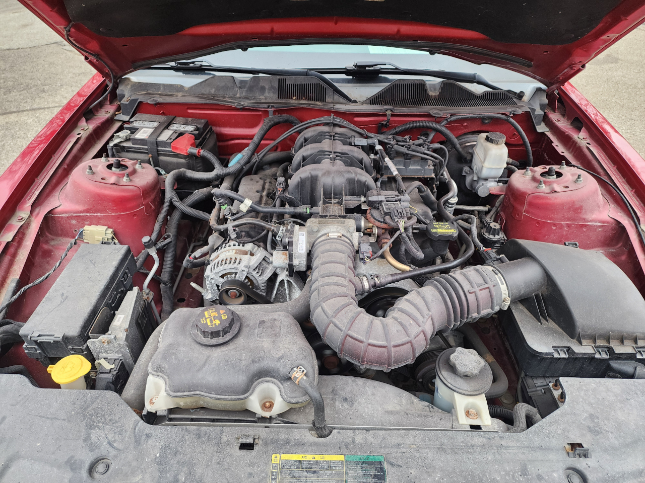 Ford Mustang V6 Coupe 2010