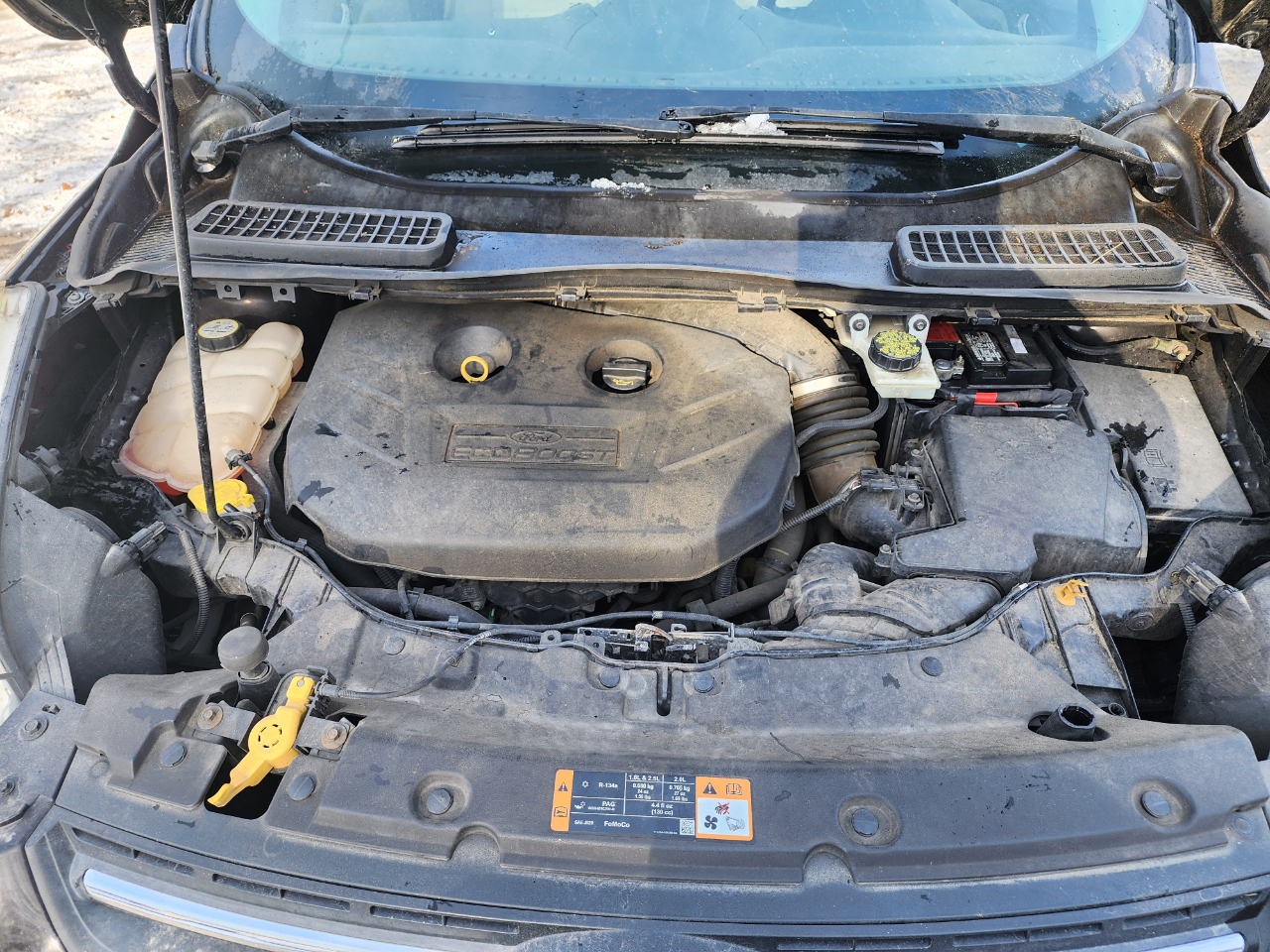 Ford Escape SE FWD 2013