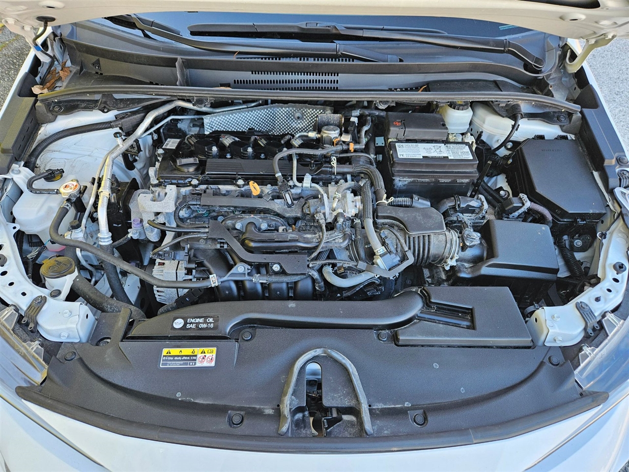 Toyota Corolla LE CVT (Natl) 2023