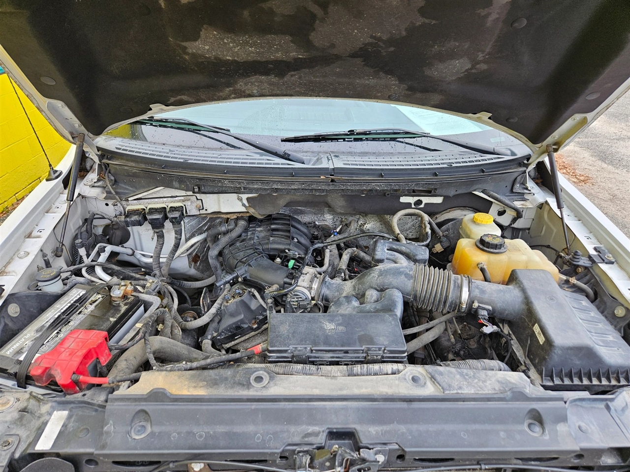 Ford F-150 2WD Reg Cab 126" STX 2014