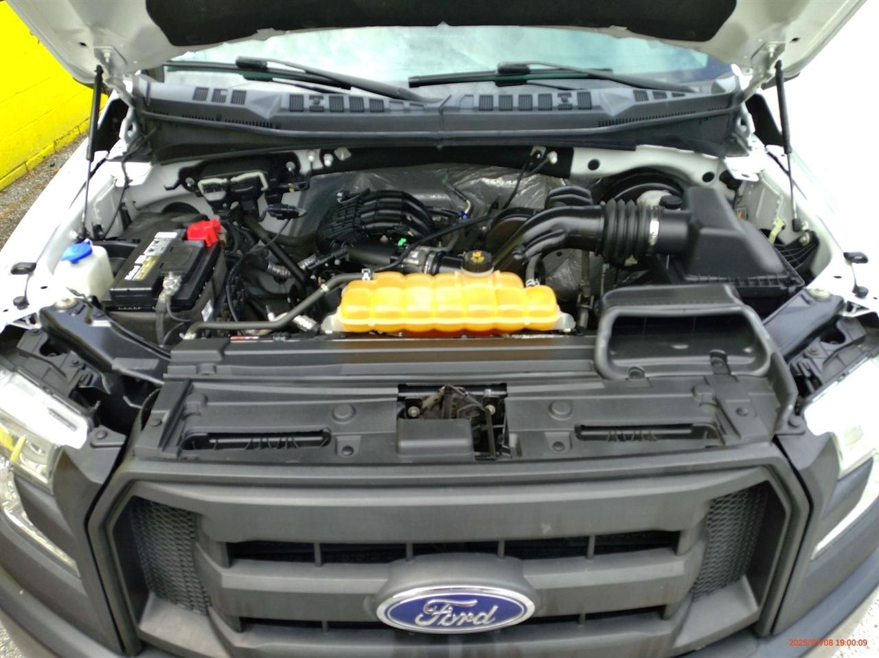 Ford F-150 2WD Reg Cab 141" XLT 2016
