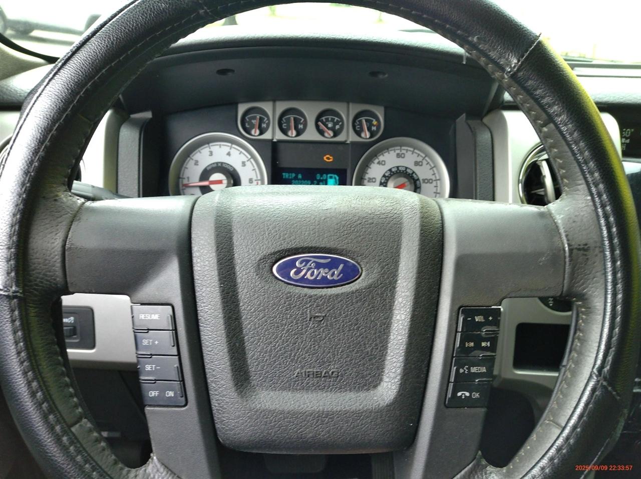 Ford F-150 AWD SuperCrew 145" Harley-Davidson 2010