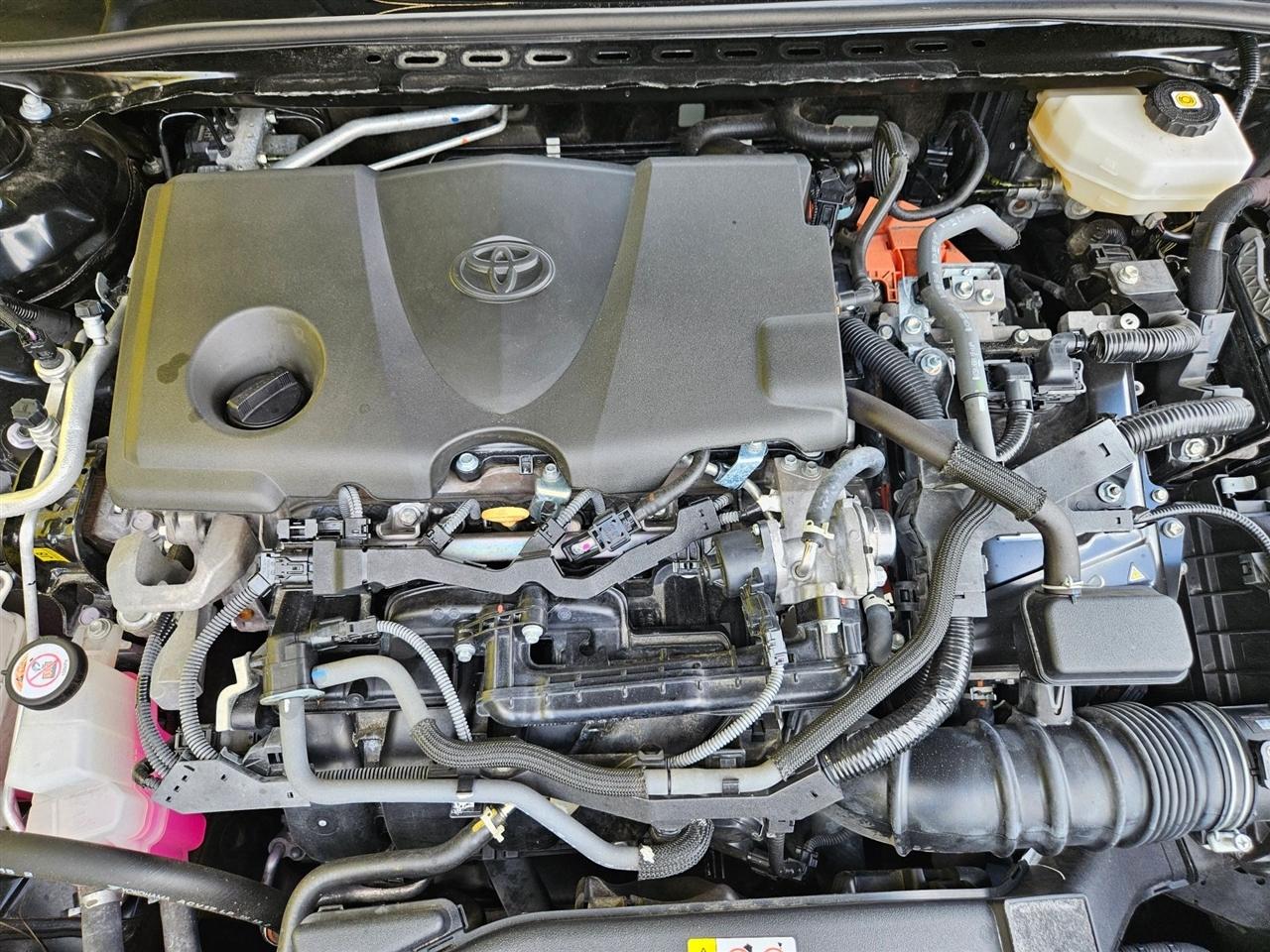 Toyota Camry XLE (Natl) 2025