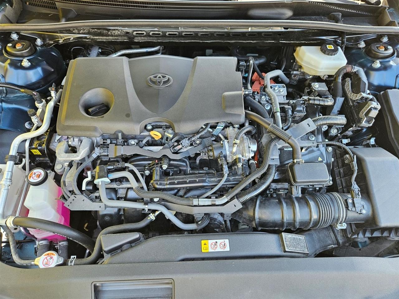 Toyota Camry XLE (Natl) 2025