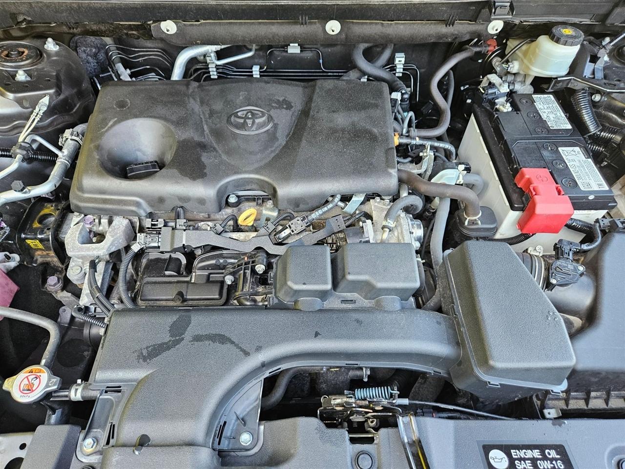 Toyota RAV4 LE AWD (Natl) 2023