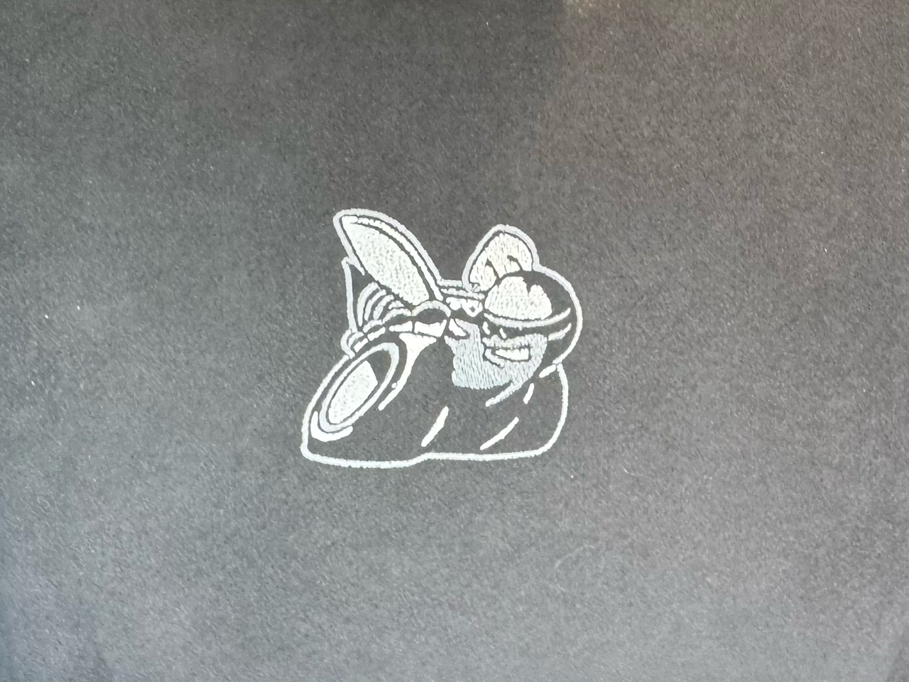 Dodge Charger  2021 Dodge Charger  2021