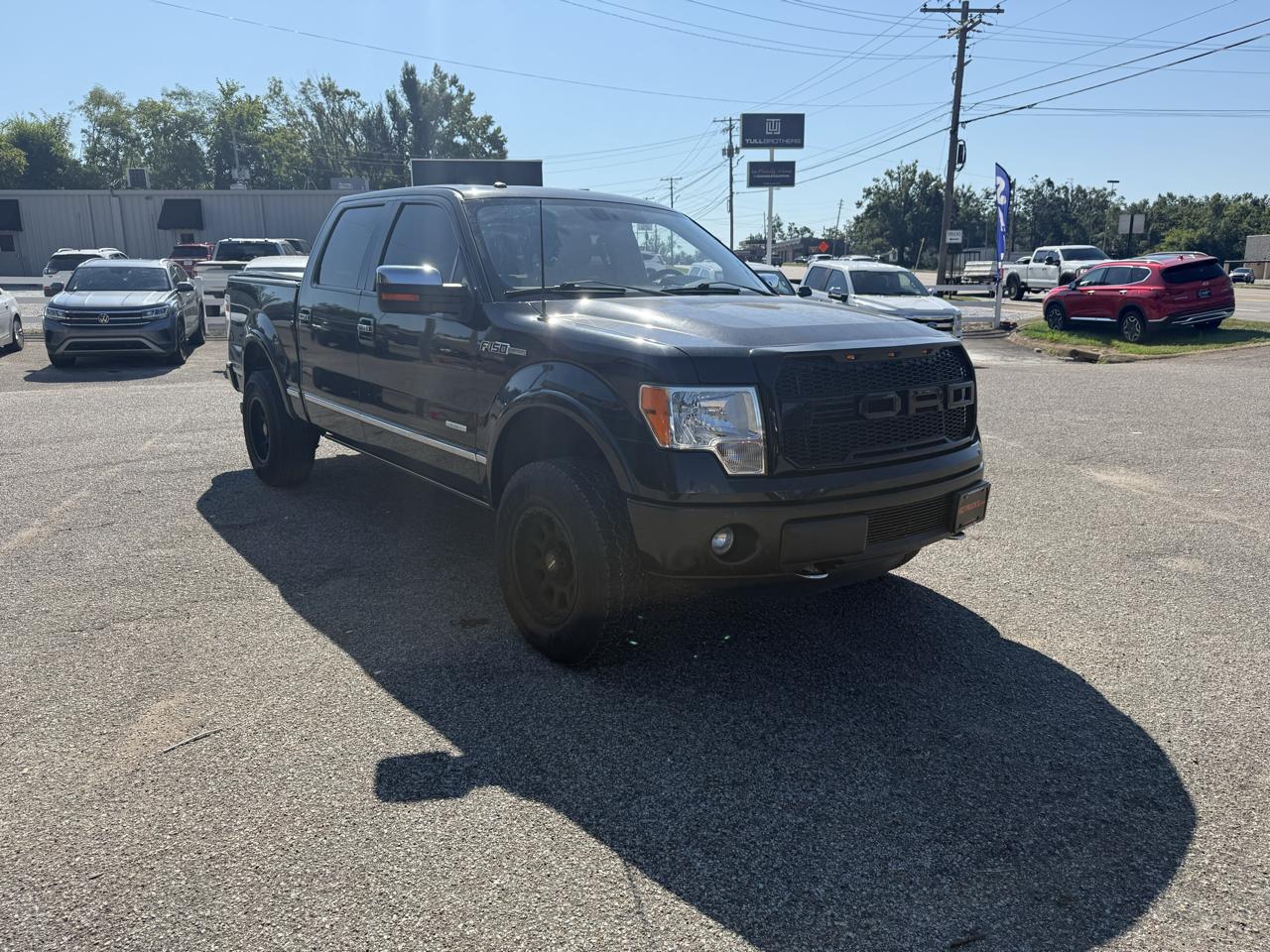 Ford F-150 4WD SuperCrew 145" Platinum 2012