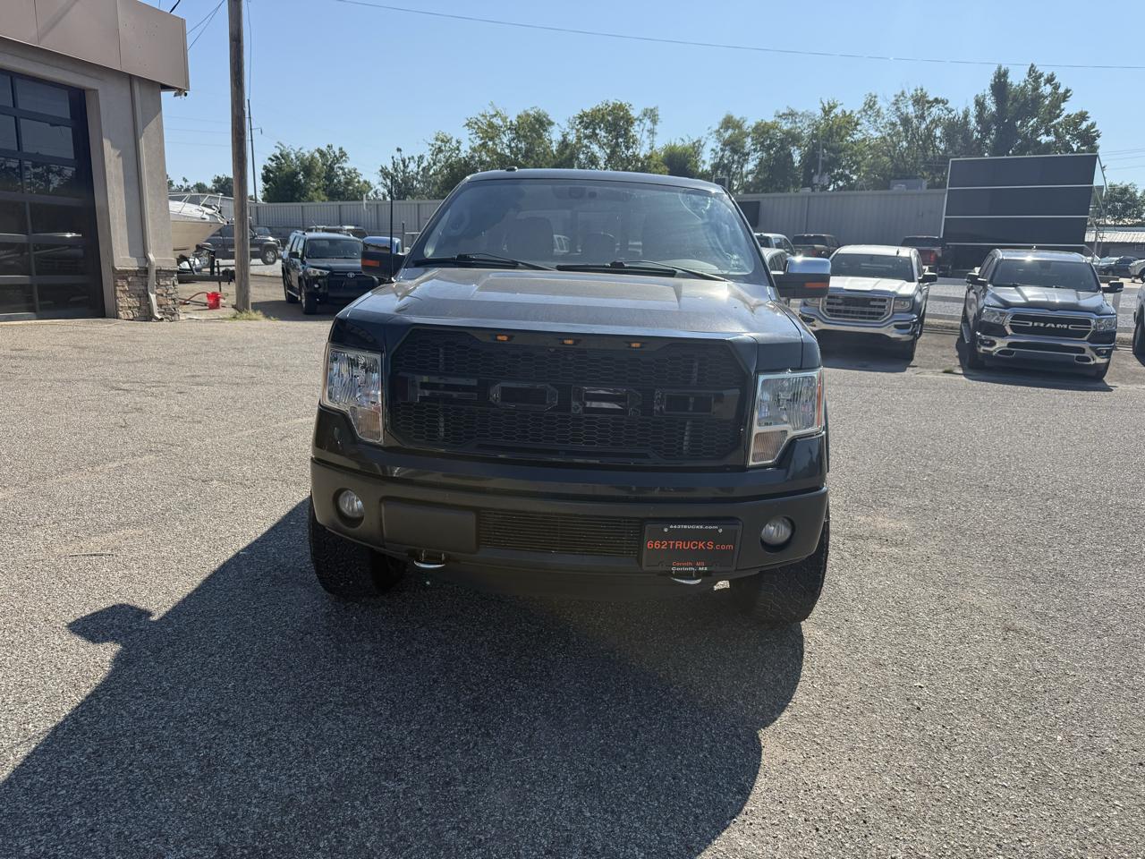 Ford F-150 4WD SuperCrew 145" Platinum 2012