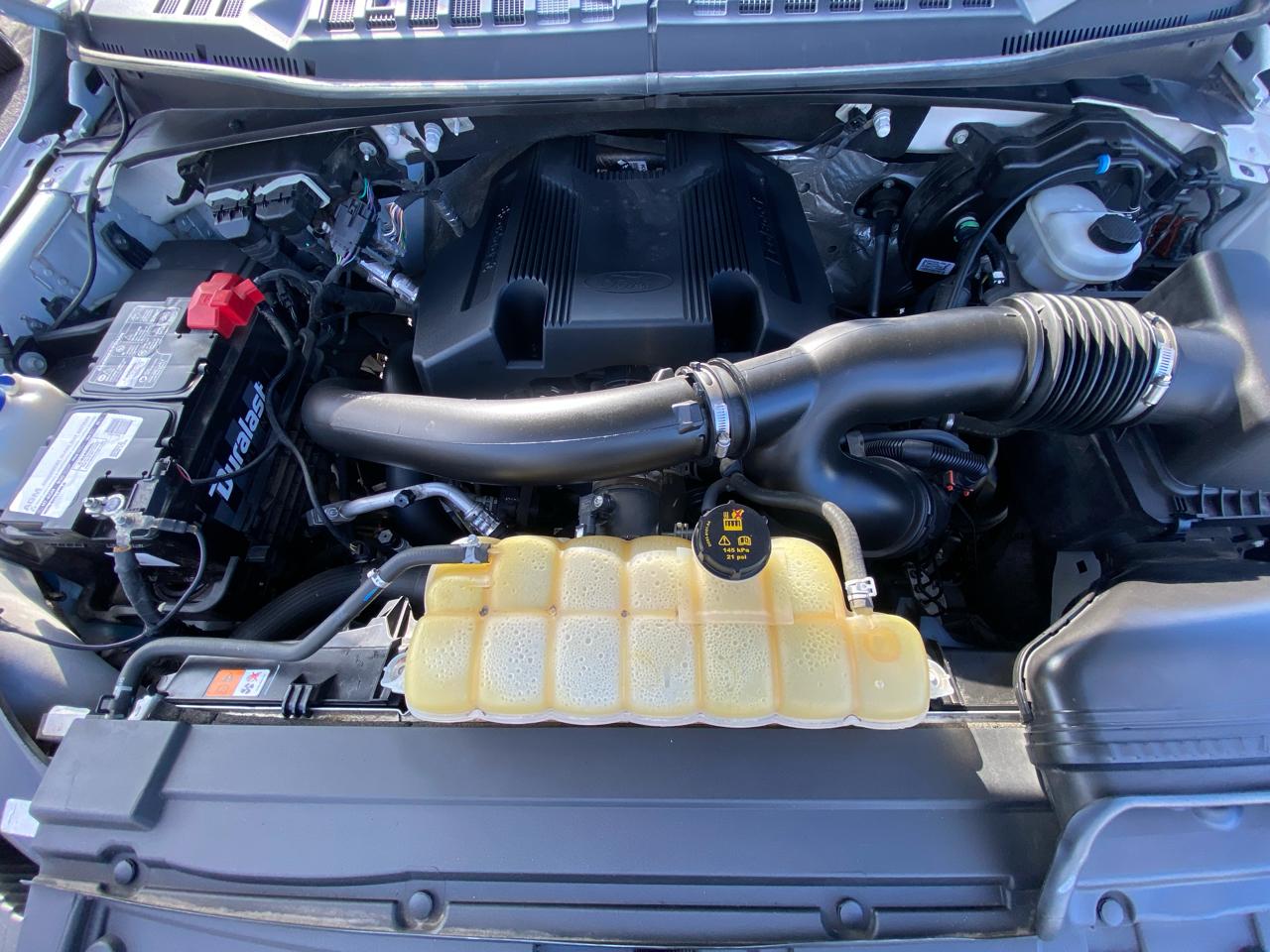 Ford F-150 XLT 4WD SuperCrew 5.5' Box 2019