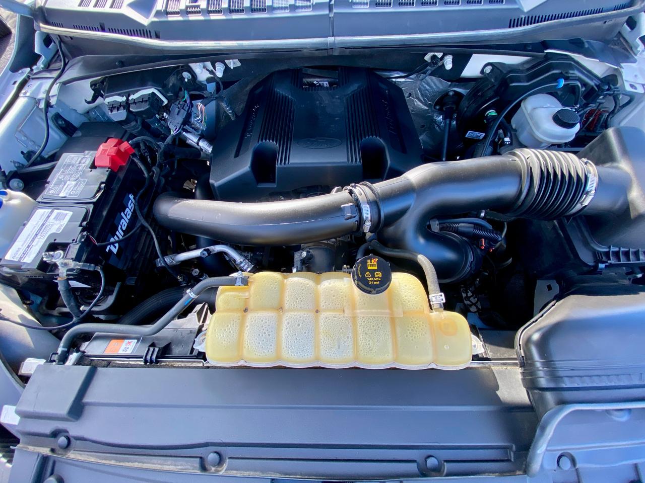 Ford F-150 XLT 4WD SuperCrew 5.5' Box 2019