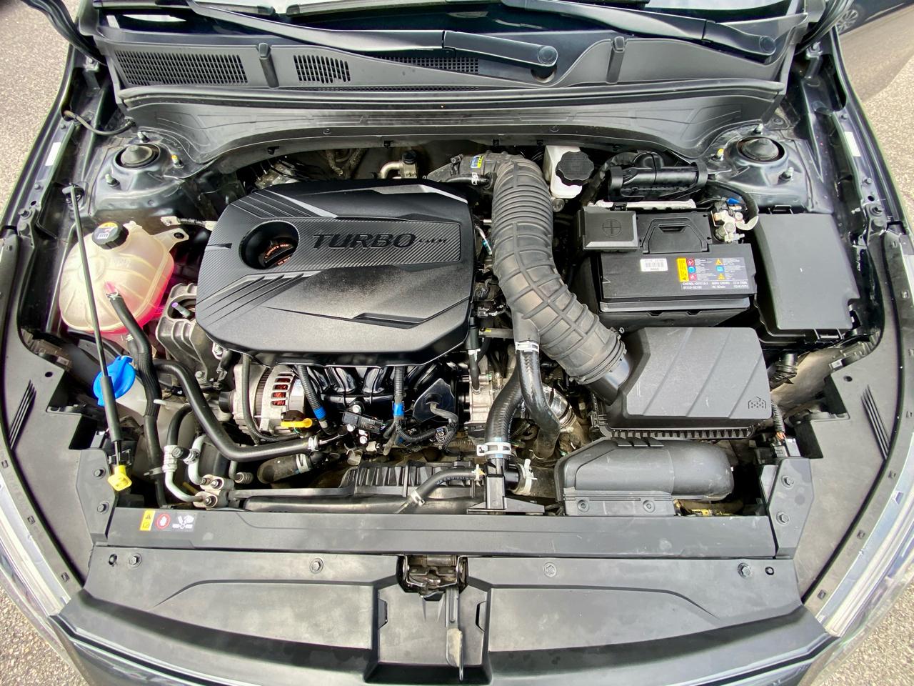 Kia Forte GT Manual 2022