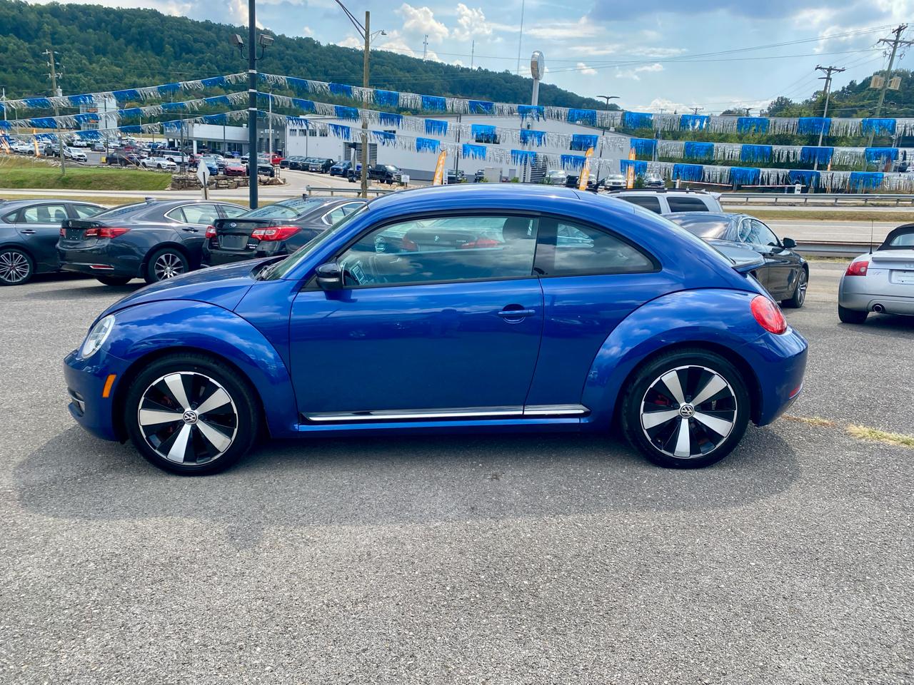Volkswagen Beetle photo 4