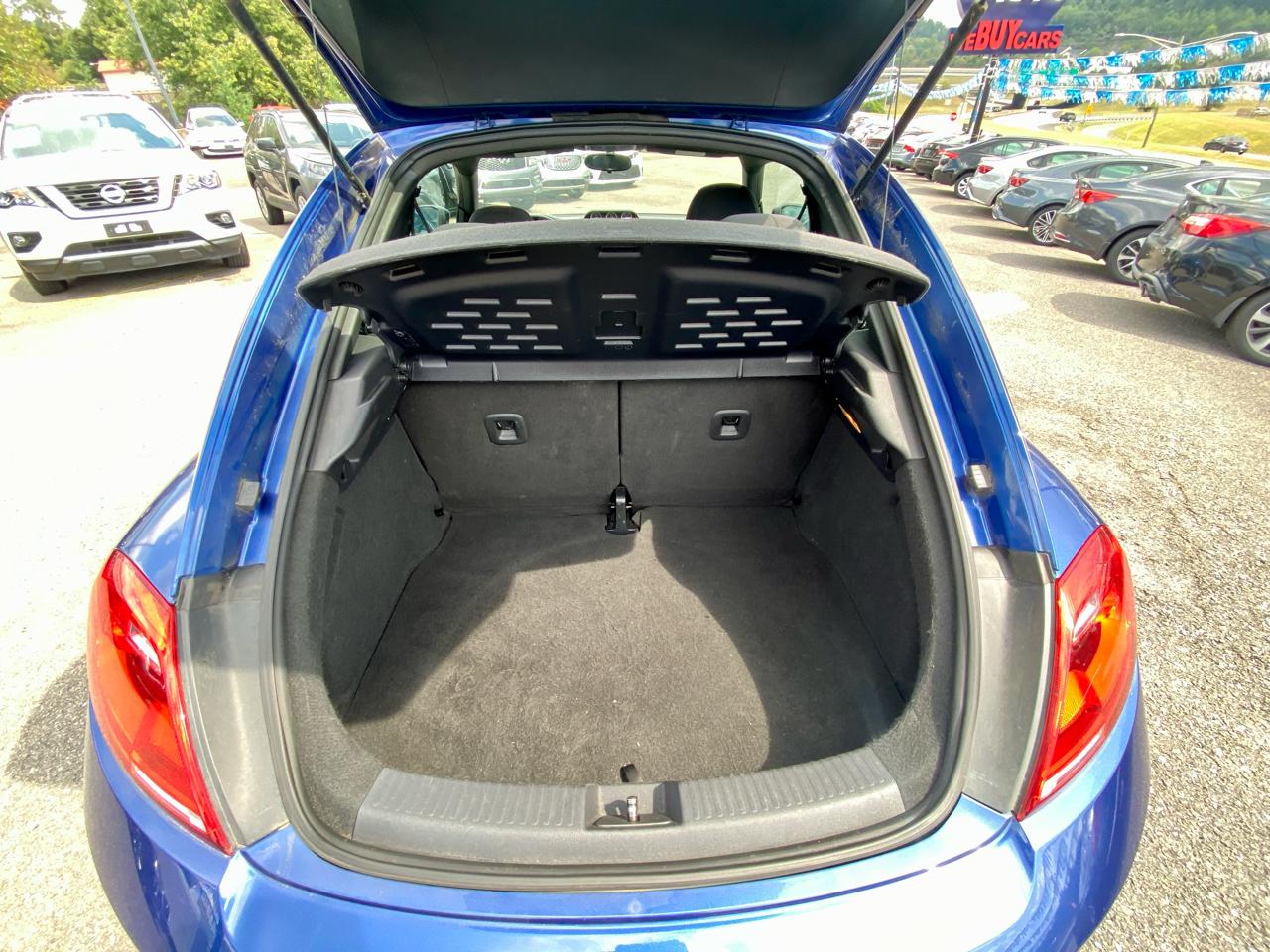Volkswagen Beetle photo 14