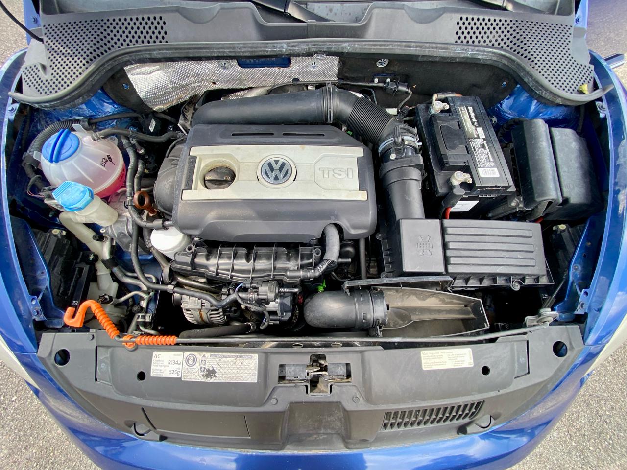 Volkswagen Beetle photo 18