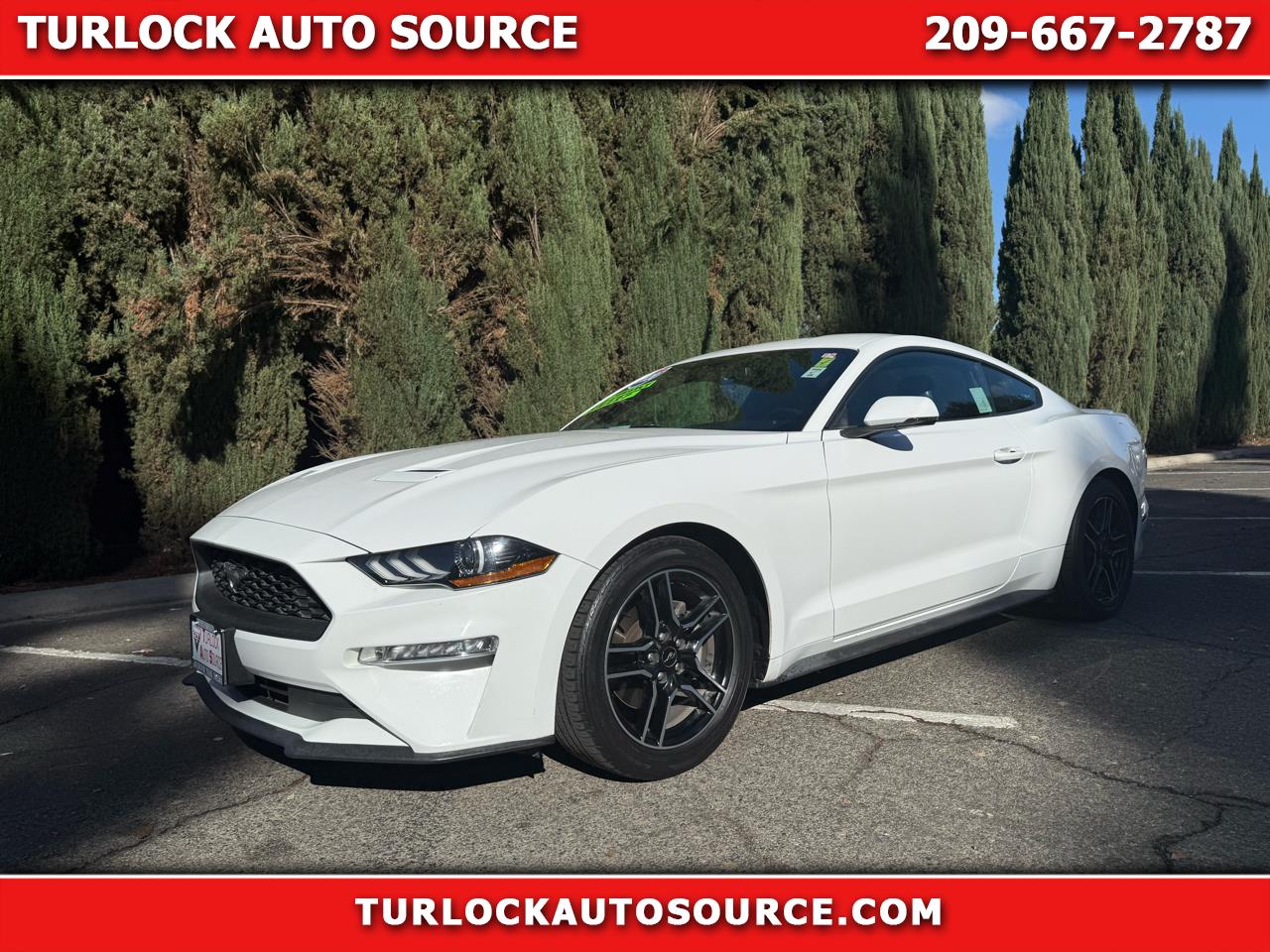 2020 Ford Mustang EcoBoost Coupe