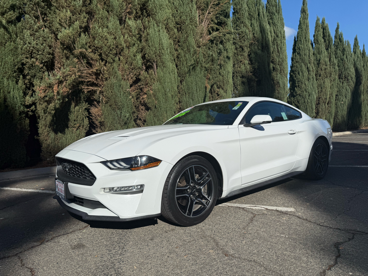 2020 Ford Mustang EcoBoost Coupe