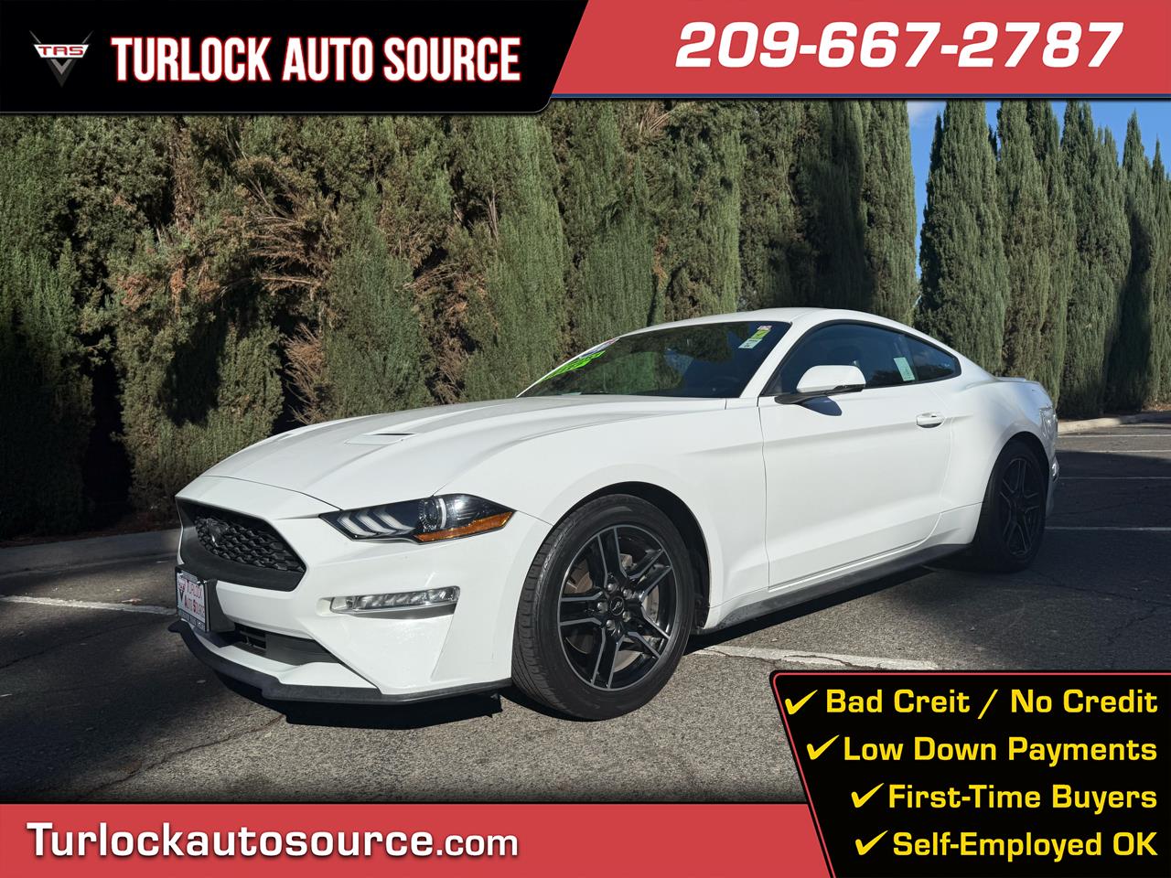 2020 Ford Mustang EcoBoost Coupe