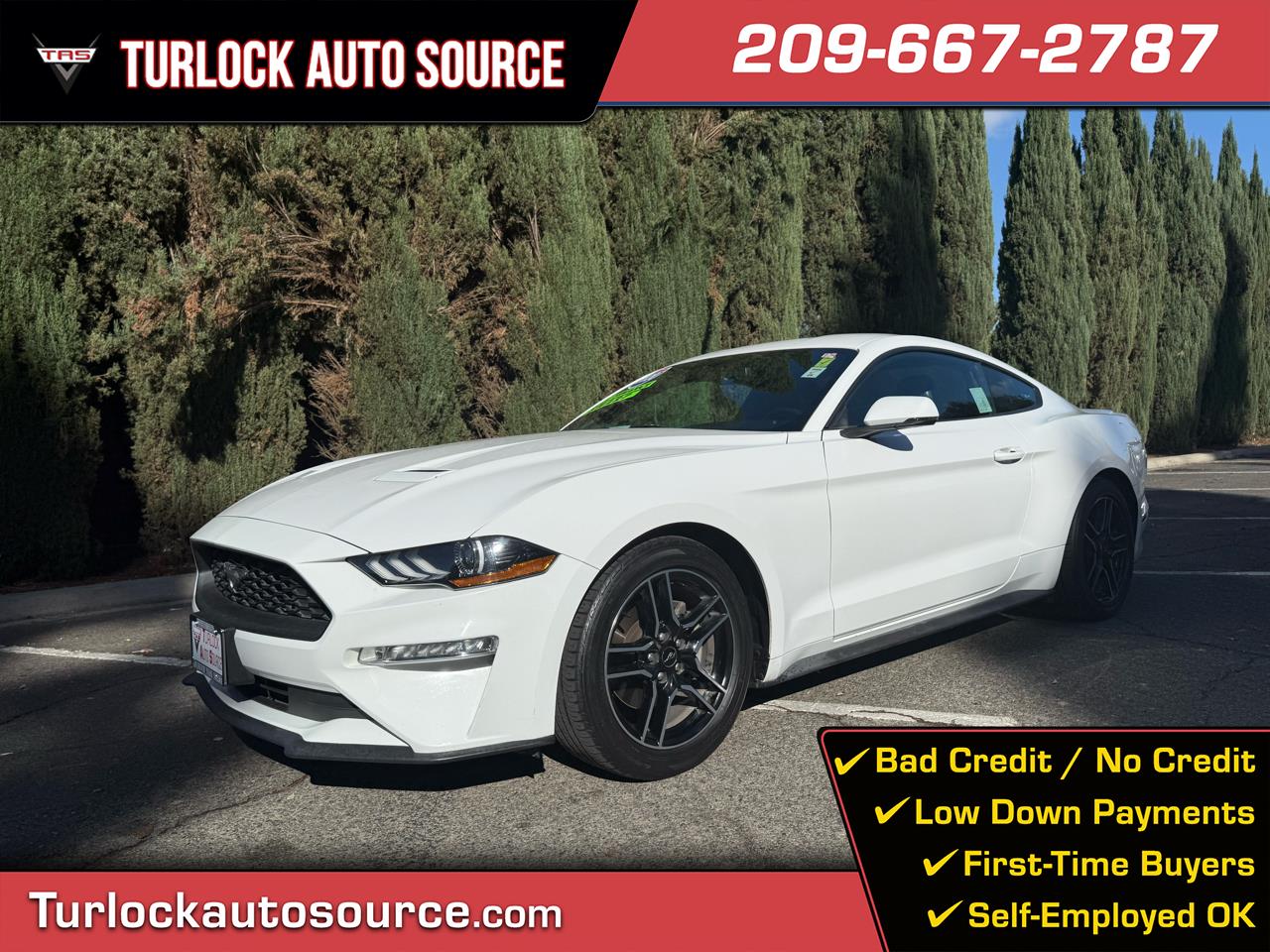 2020 Ford Mustang EcoBoost Coupe