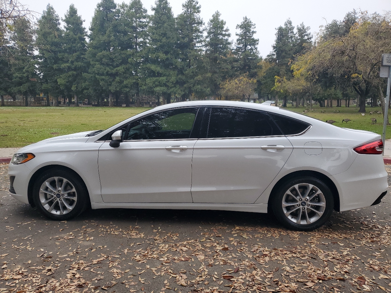 Ford Fusion SE 2019
