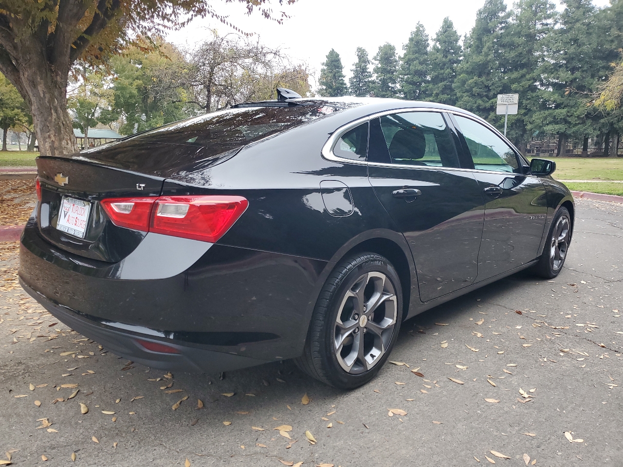 Chevrolet Malibu 1LT 2024