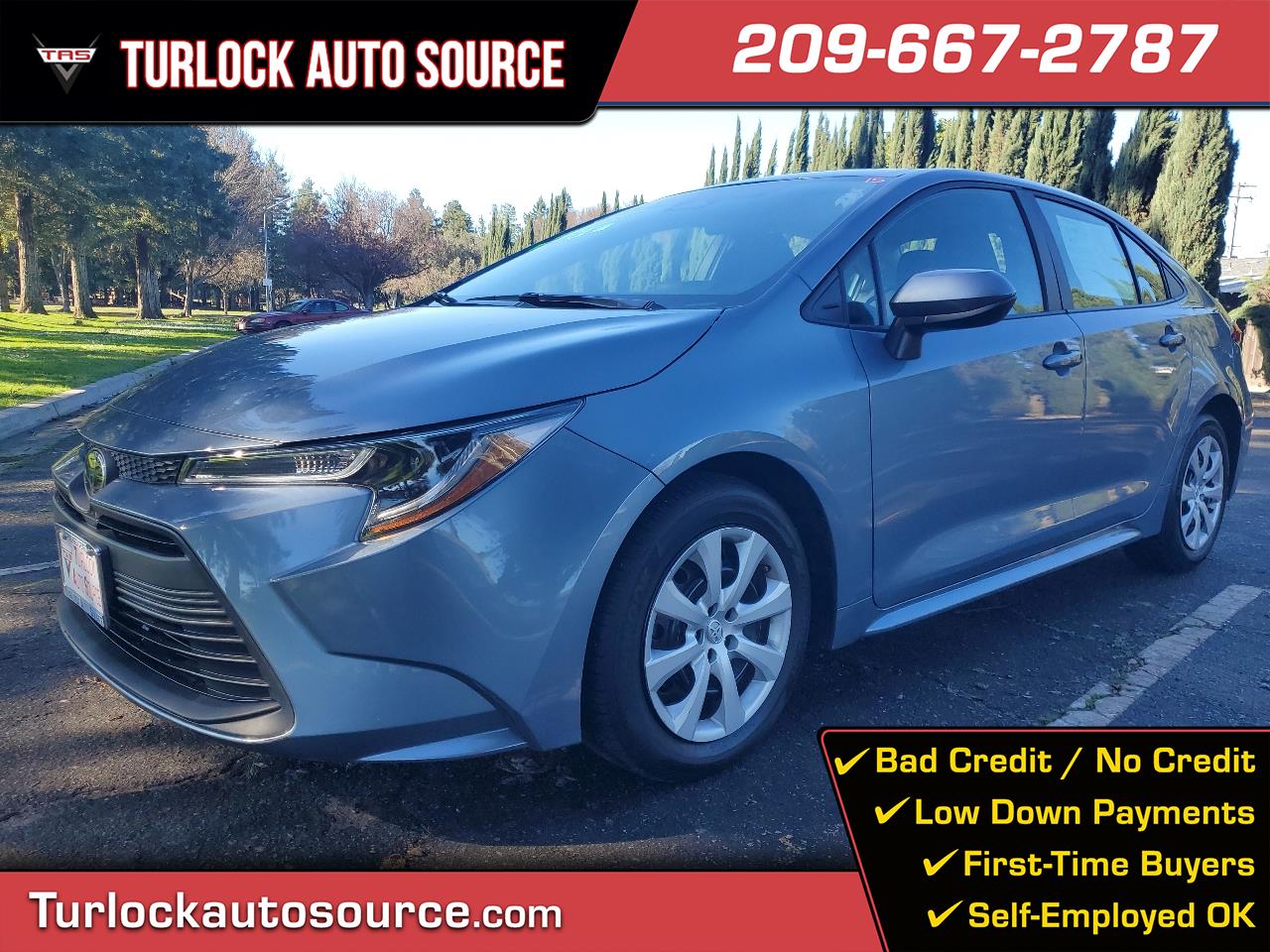 Toyota Corolla LE 2024