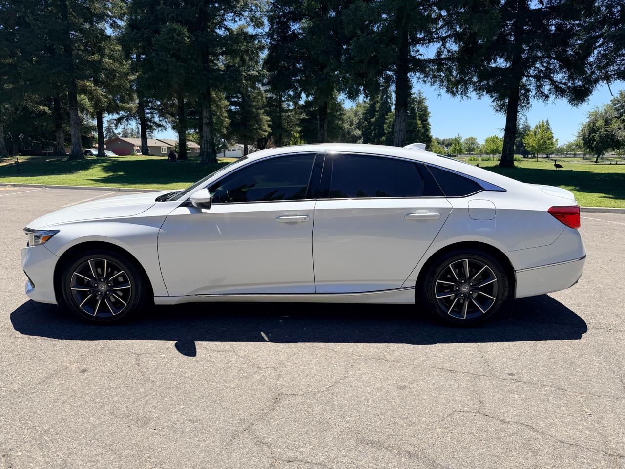 Honda Accord EX-L 2021