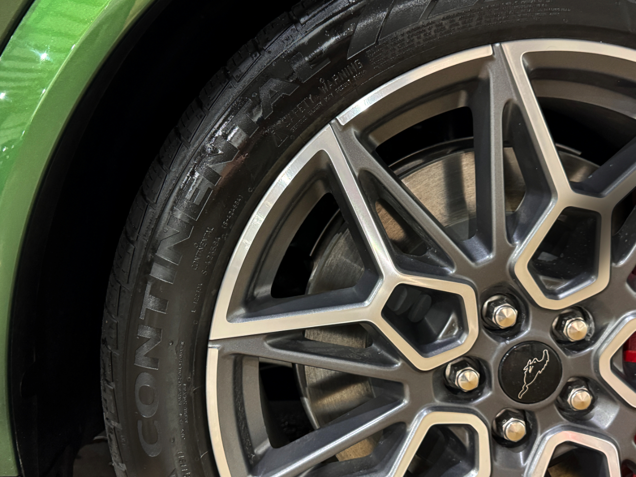 2025 Ford Mustang Mach-E GT photo 27