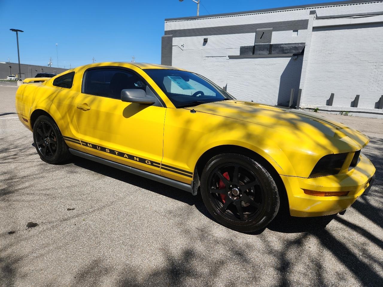 Ford Mustang 2dr Cpe Premium 2005