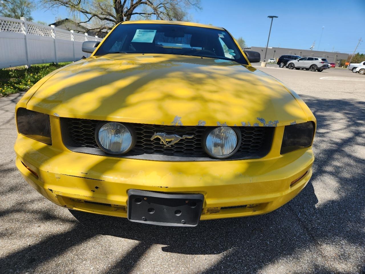 Ford Mustang 2dr Cpe Premium 2005