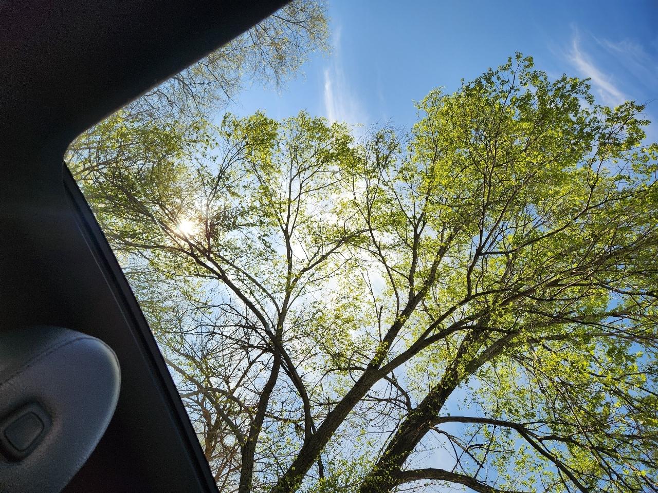 Mercedes-Benz A-Class A 220 4MATIC Sedan 2019