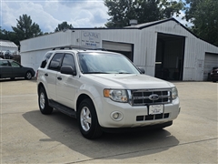 2010 Ford Escape 