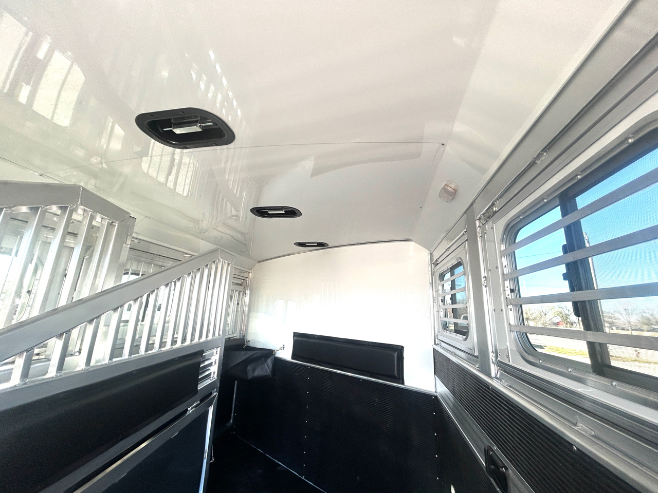 Elite 3 Horse Trailer  2026