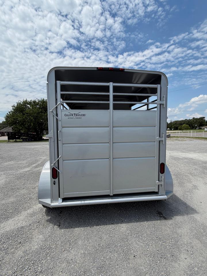 Calico Horse  2026