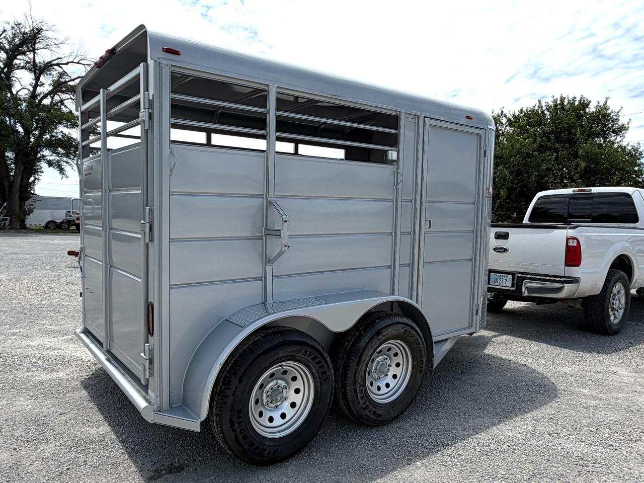 Calico Horse  2026