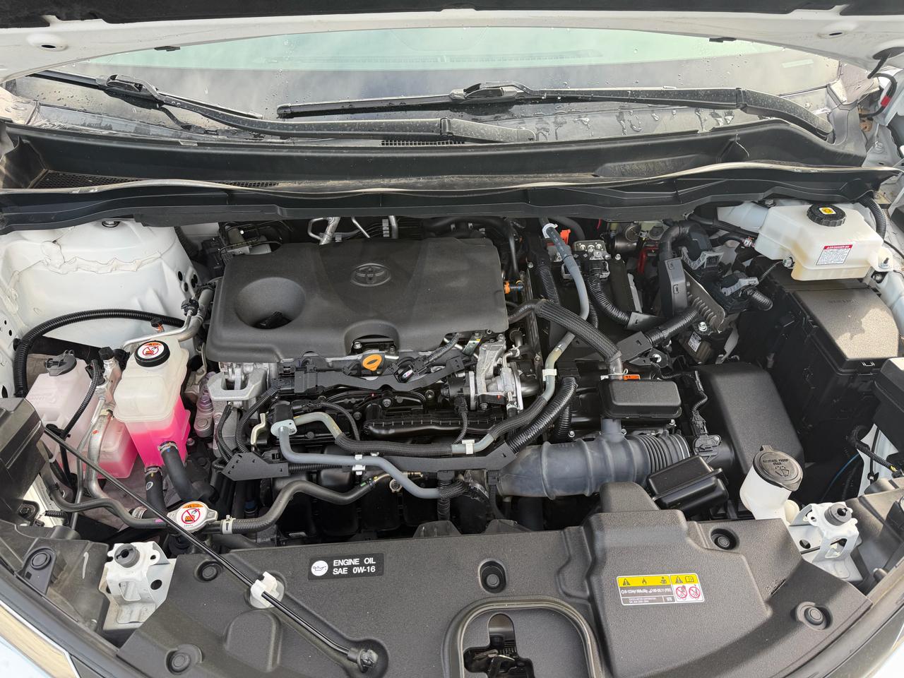 Toyota Sienna LE FWD 8-Passenger (Natl) 2021