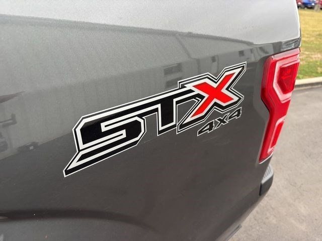 Ford F-150 XL SuperCrew 5.5-ft. Bed 4WD 2019 Ford F-150 XL SuperCrew 5.5-ft. Bed 4WD 2019