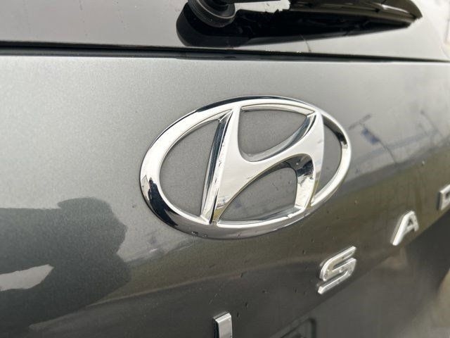 Hyundai Palisade Calligraphy 2022