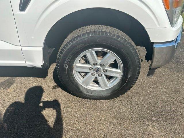 Ford F-150 XL SuperCrew 6.5-ft. Bed 4WD 2021