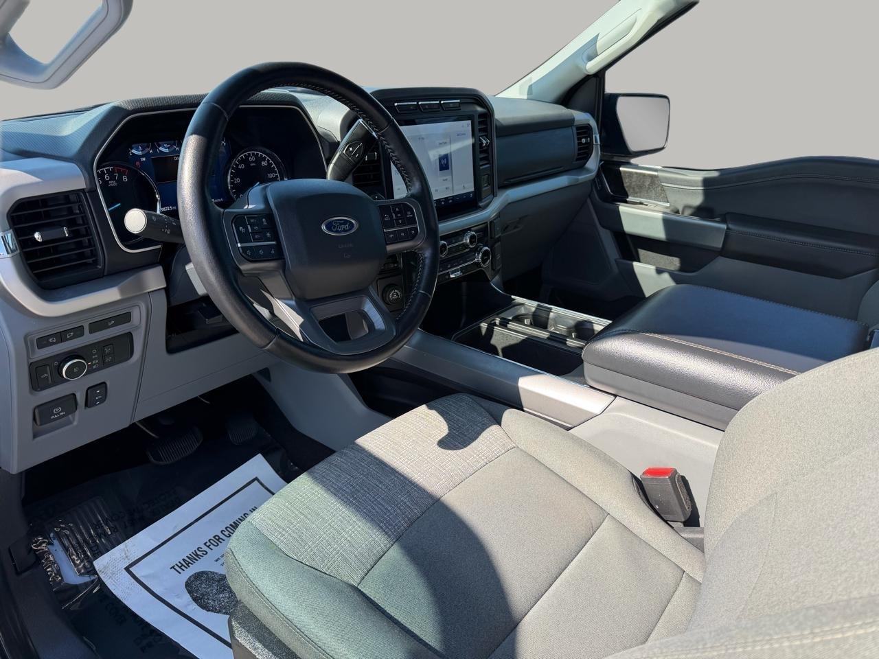 Ford F-150 XLT 2WD 2022